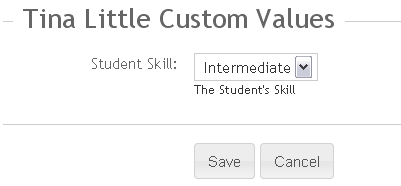 Custom Values